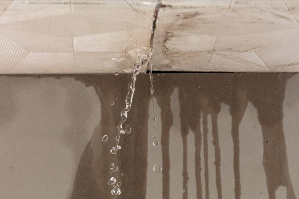 Professional Water Damage Repair technician working in Pierce, TX